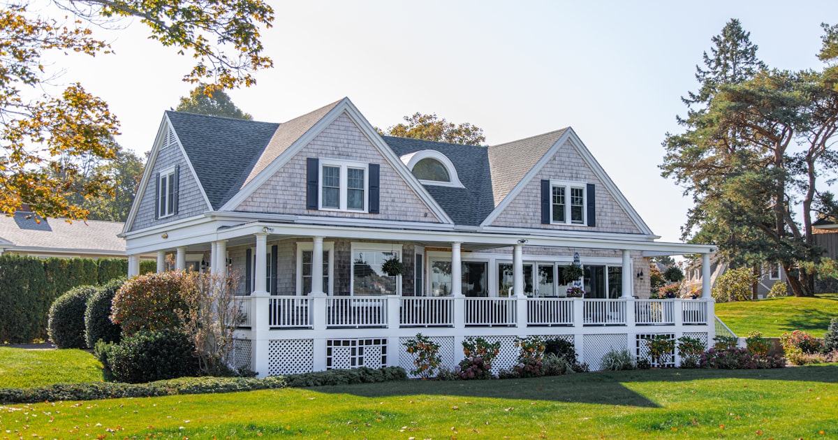 Why Charleston's Raised Houses Are a Wildlife Magnet (And What to Do About It)